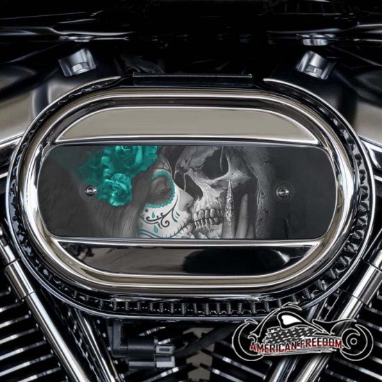 Harley Davidson M8 Ventilator Insert - Death Kiss (Teal)