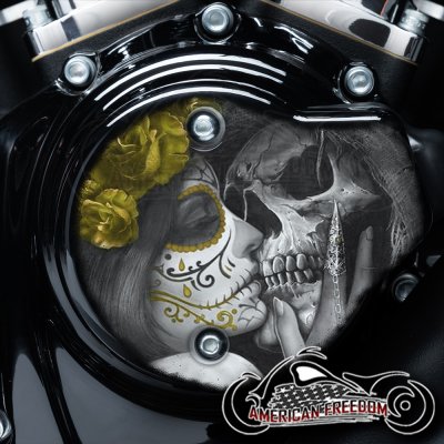 Harley Davidson VVT Cam Housing Unit - Death Kiss Yellow