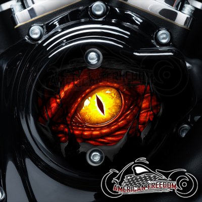 Harley Davidson VVT Cam Housing Unit - Dinosaur Eye