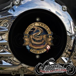 Indian 2014-2020 Thunderstroke Derby - Dont Tread Bronze