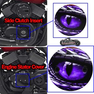 Harley Davidson XG500/XG750 2 Piece Set Dragon Eye Purple