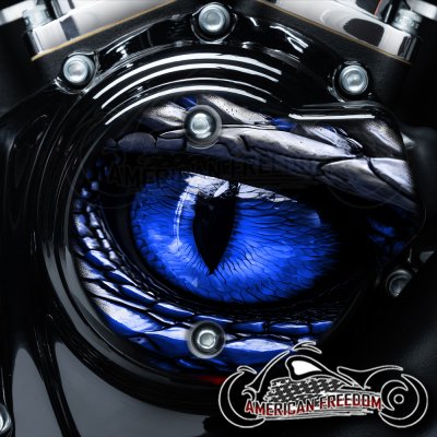 Harley Davidson VVT Cam Housing Unit - Dragon Eye Blue