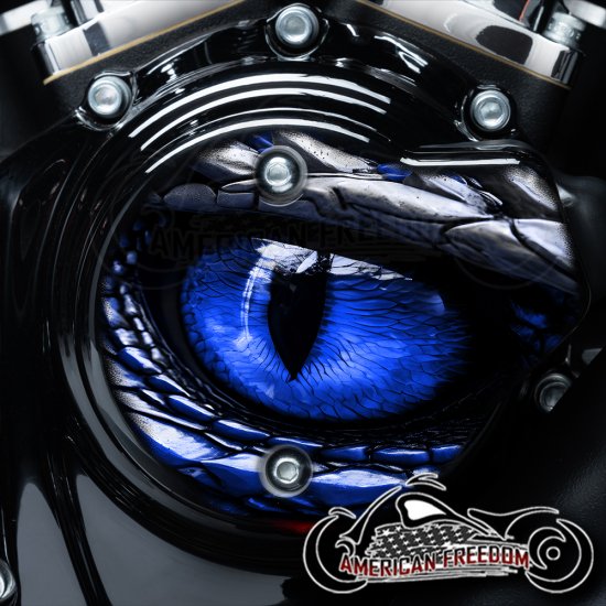 Harley Davidson VVT Cam Housing Unit - Dragon Eye Blue