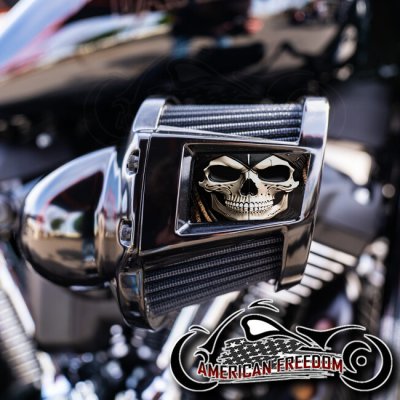 Harley 2019-2024 Heavy Breather Insert - Undead Pirate Skull