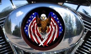 Custom Air Cleaner Cover - Eagle Flag