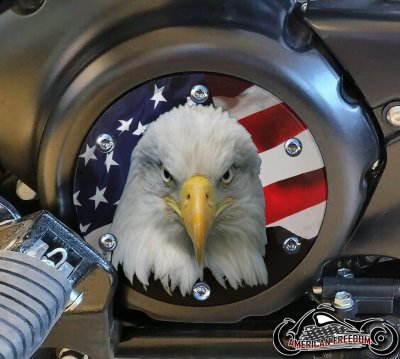 SUZUKI M109R Derby/Engine Cover - American Pride