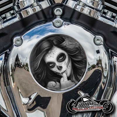 Indian Thunder Stroke Cam Insert - DOTD Middle Finger Gal