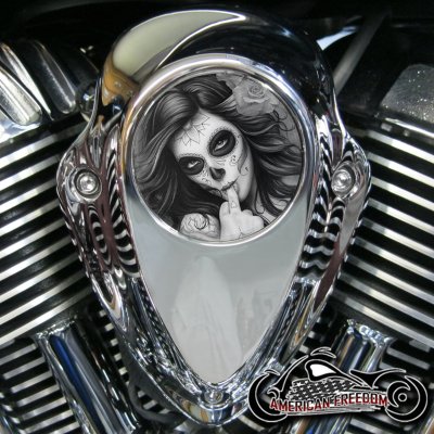 Indian Thunder Stroke Horn Insert - DOTD Middle Finger Gal