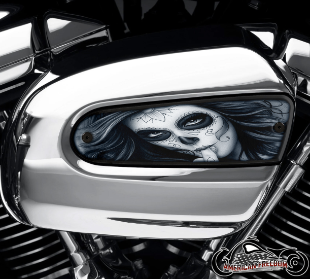 Harley Davidson Wedge Air Cleaner Insert - Middle Finger Gal