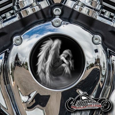 Indian Thunder Stroke Cam Insert - Faded Angel