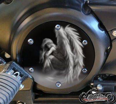 SUZUKI M109R Derby/Engine Cover - Faded Angel