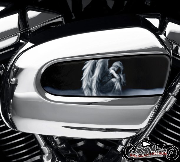 Harley Davidson Wedge Air Cleaner Insert - Faded Angel