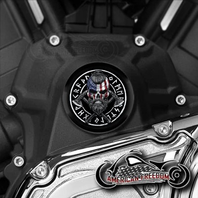 Indian Challenger Pursuit Water Pump Insert - Flag Viking Skull