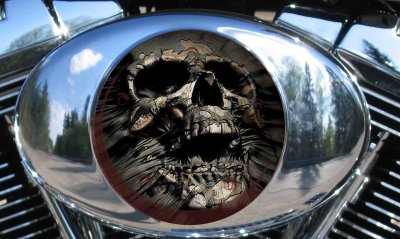 Custom Air Cleaner Cover - Fossil Skull