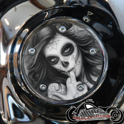Harley Davidson Timing Cover Fitment and Style