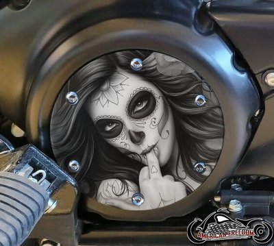 SUZUKI M109R Derby/Engine Cover - FU DOTD