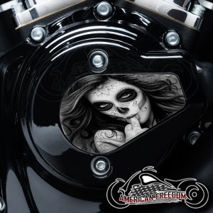 Harley Davidson VVT Timing Medallion - Middle Finger Gal