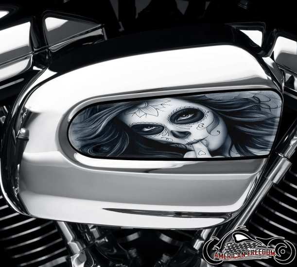 Harley Davidson Wedge Air Cleaner Insert - Middle Finger Gal