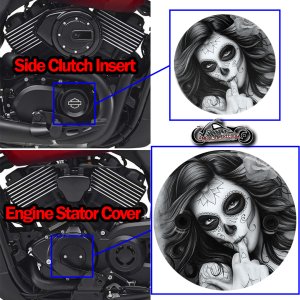 Harley Davidson XG500/XG750 2 Piece Set Odin FU day of the dead