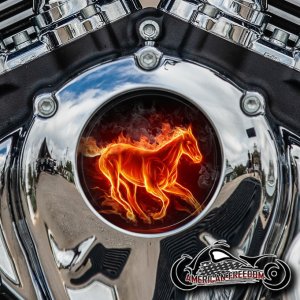 Indian Thunder Stroke Cam Insert - Horse Flames