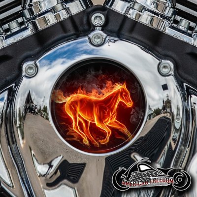 Indian Thunder Stroke Cam Insert - Horse Flames