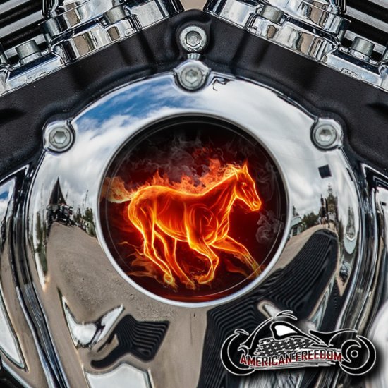 Indian Thunder Stroke Cam Insert - Horse Flames