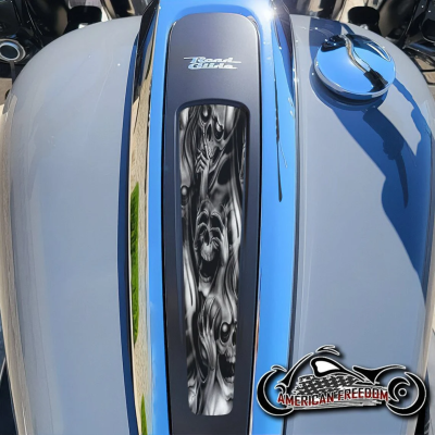 Harley 2021+ Street & Road Glide Dash Insert - No Evil Skulls