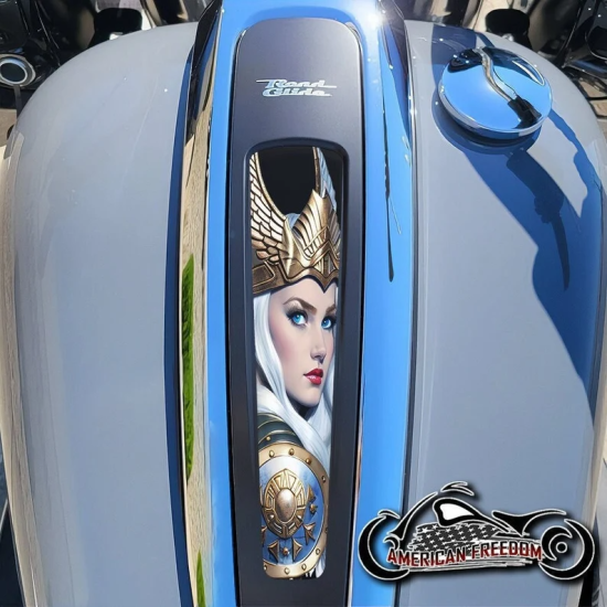 Harley 2021+ Street & Road Glide Dash Insert - Valkyrie