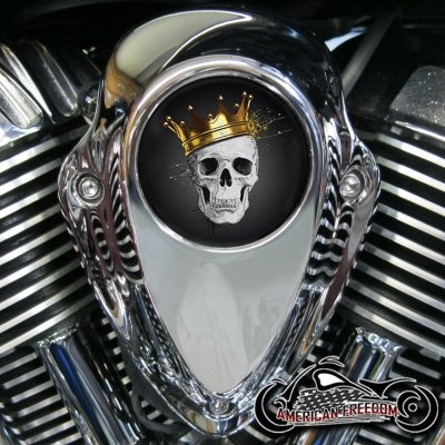 Indian Thunder Stroke Horn Insert - King Skull