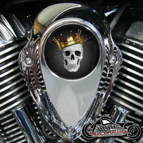 Indian Thunder Stroke Horn Insert - King Skull