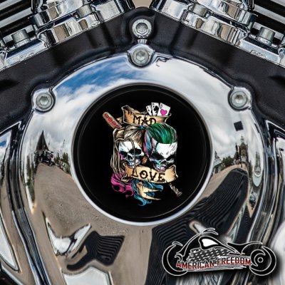 Indian Thunder Stroke Cam Insert - Mad Love