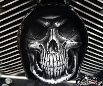 Custom Horn Cover - Reaper (B&W)