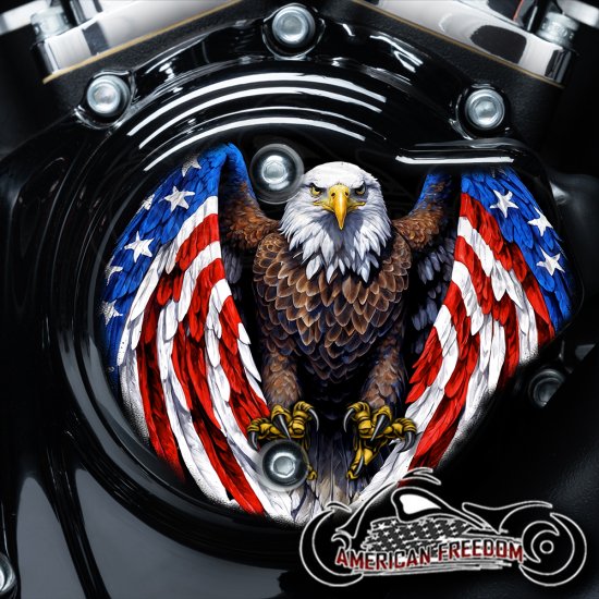 Harley Davidson VVT Cam Housing Unit - Freedom Strike Eagle