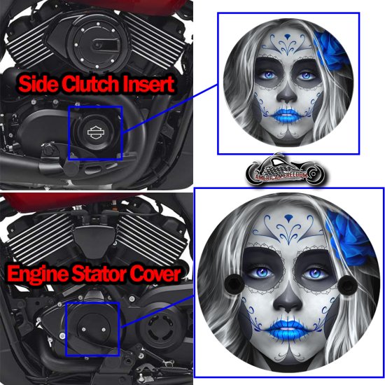 Harley Davidson XG500/XG750 2 Piece Set sugar skull blue