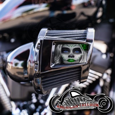 Harley 2019-2024 Heavy Breather Insert - Candy Sugar Skull Green