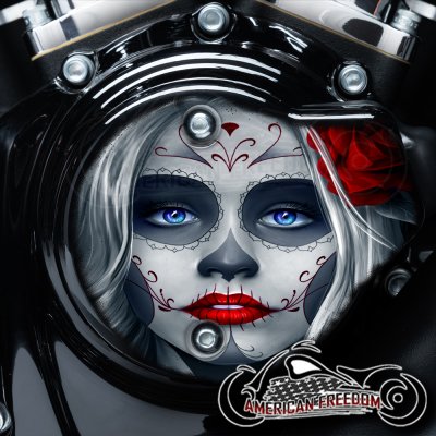 Harley Davidson VVT Cam Housing Unit - Sugar Skull Red