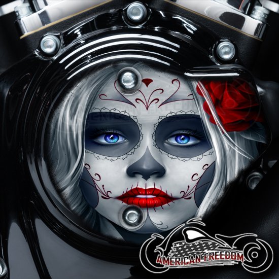 Harley Davidson VVT Cam Housing Unit - Sugar Skull Red