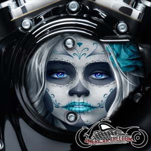 Harley Davidson VVT Cam Housing Unit - Sugar Skull Teal