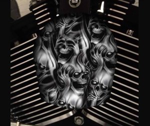 Custom Horn Cover - No Evil