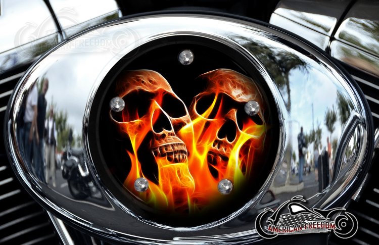Custom Air Cleaner Cover - Skulls With Flames