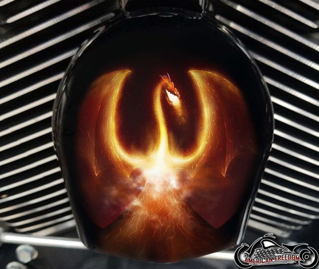 Custom Horn Cover - Phoenix