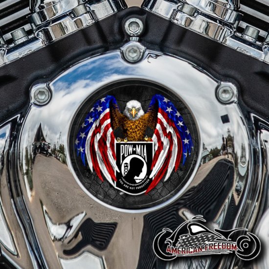 Indian Thunder Stroke Cam Insert - POW MIA Eagle