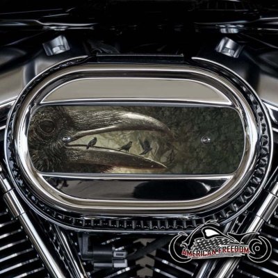 Harley Davidson M8 Ventilator Insert - Raven Beak