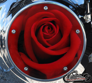 Custom Derby Cover - Red Rose