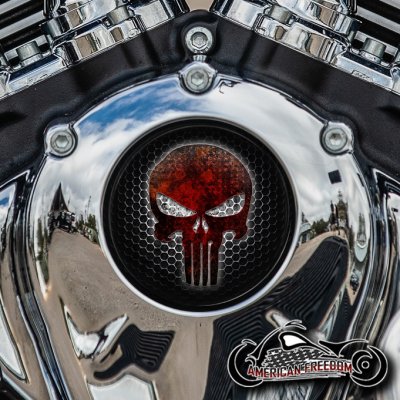 Indian Thunder Stroke Cam Insert - Punisher Grille (Red)