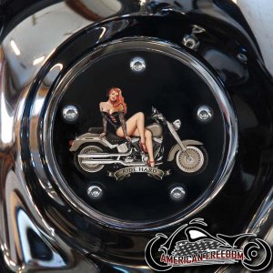 Custom Timing Cover - Pin Up 5