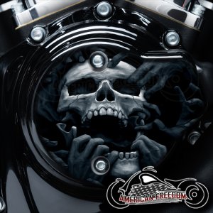 Harley Davidson VVT Cam Housing Unit - Torn Apart Skull BW