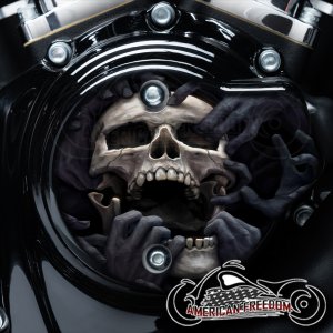 Harley Davidson VVT Cam Housing Unit - Torn Apart Skull