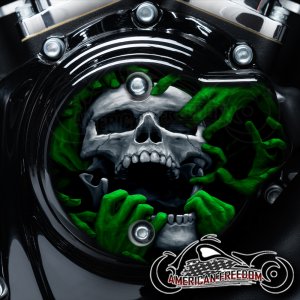 Harley Davidson VVT Cam Housing Unit - Torn Apart Skull Green