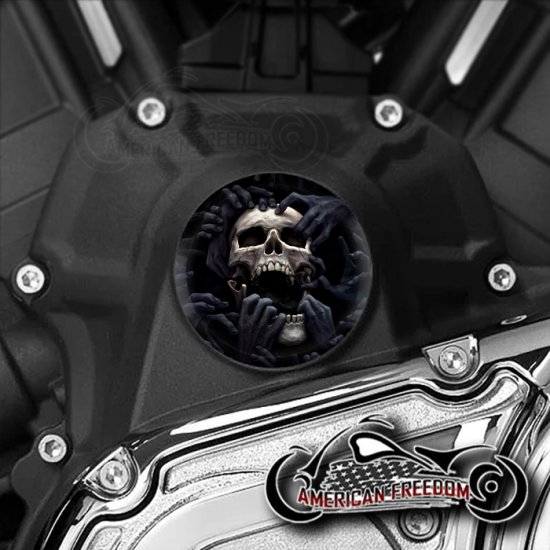 Indian Challenger Pursuit Water Pump Insert - Torn Apart Skull